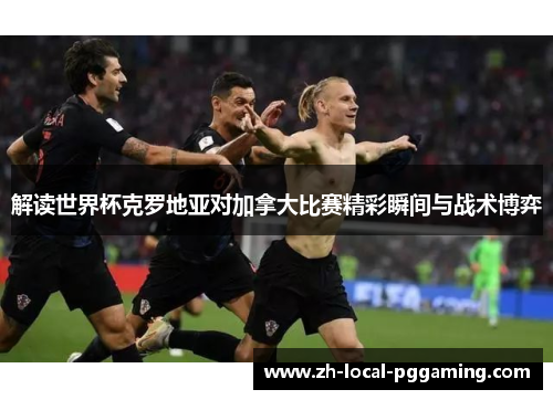 解读世界杯克罗地亚对加拿大比赛精彩瞬间与战术博弈